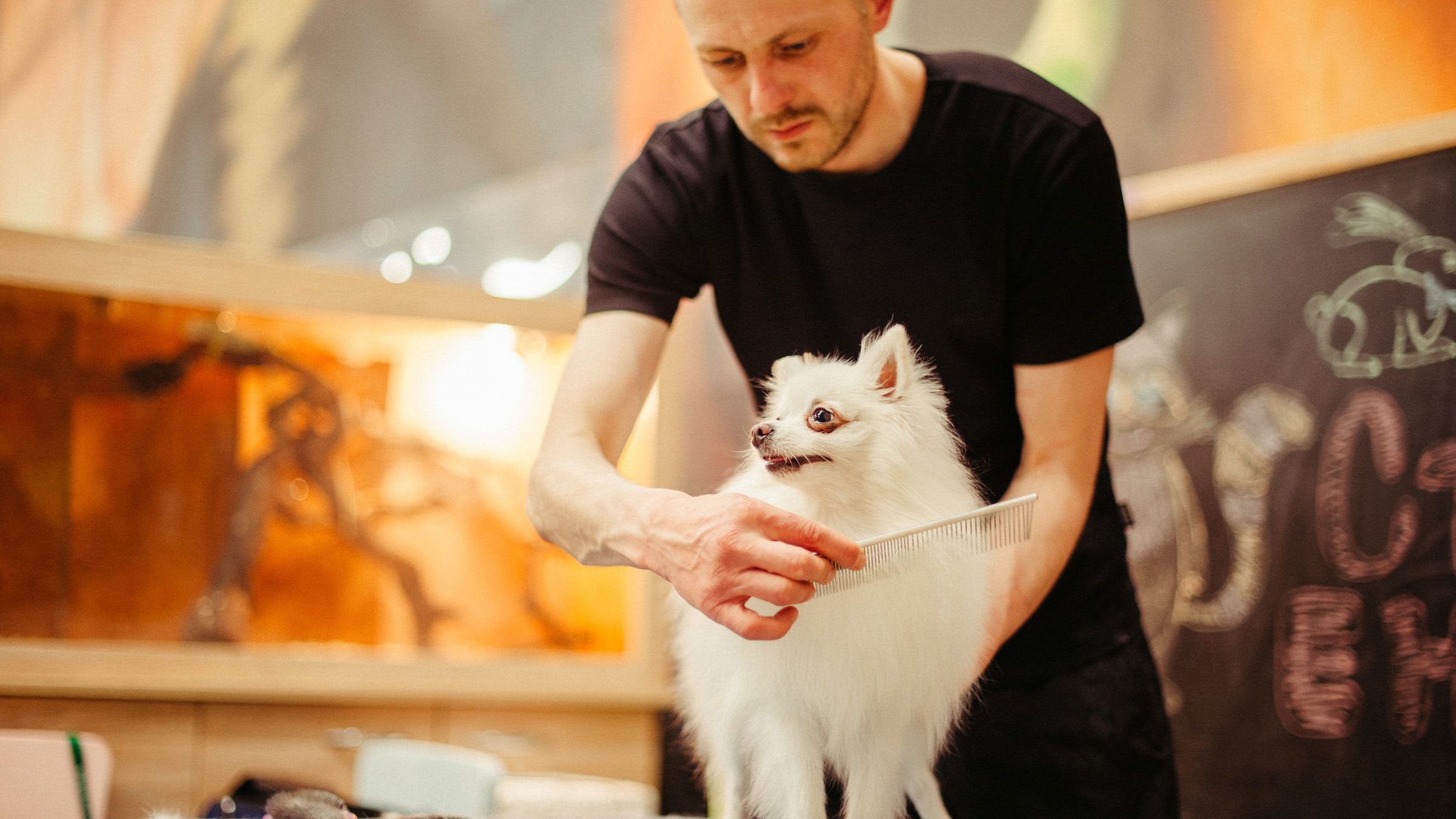 man brushing dog hair