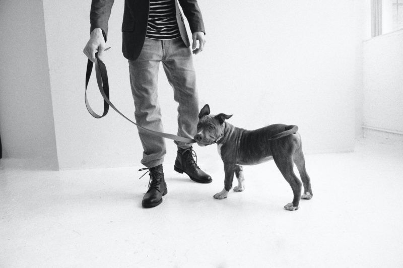 Man and dog, black and white photo.